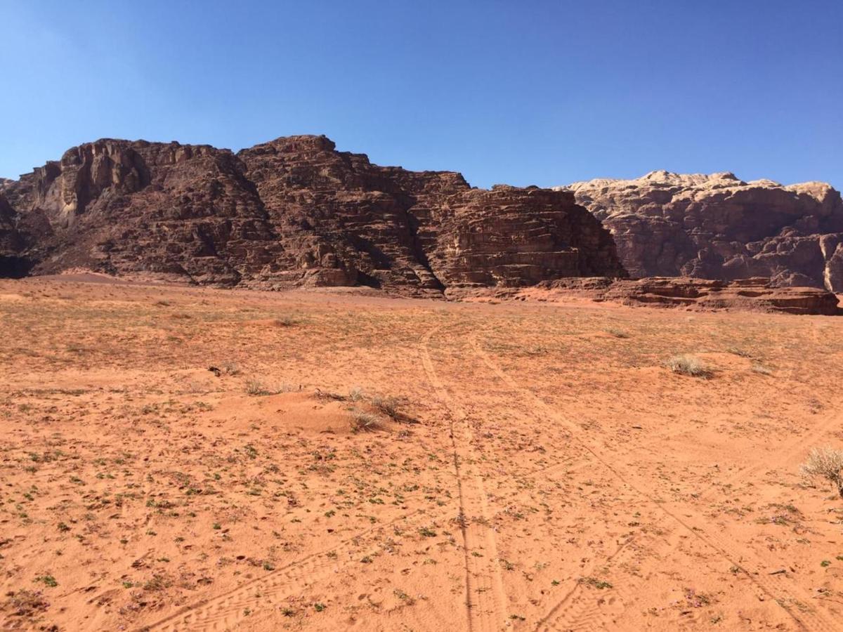 Wadi Rum Natural Life Esterno foto
