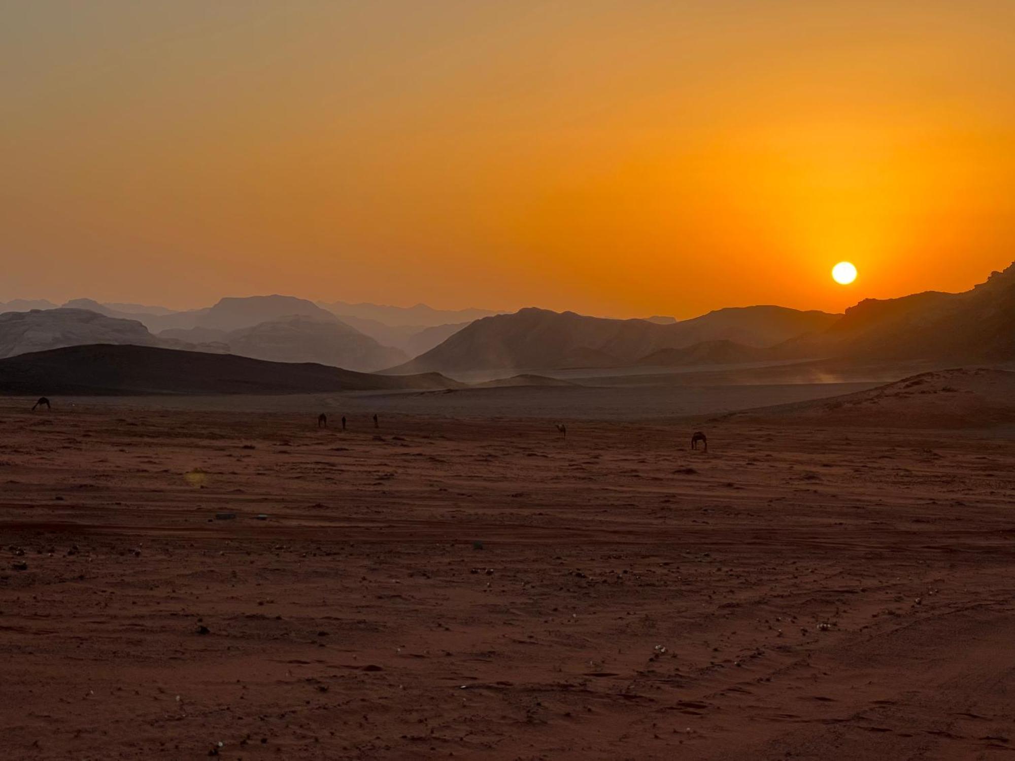 Wadi Rum Natural Life Esterno foto