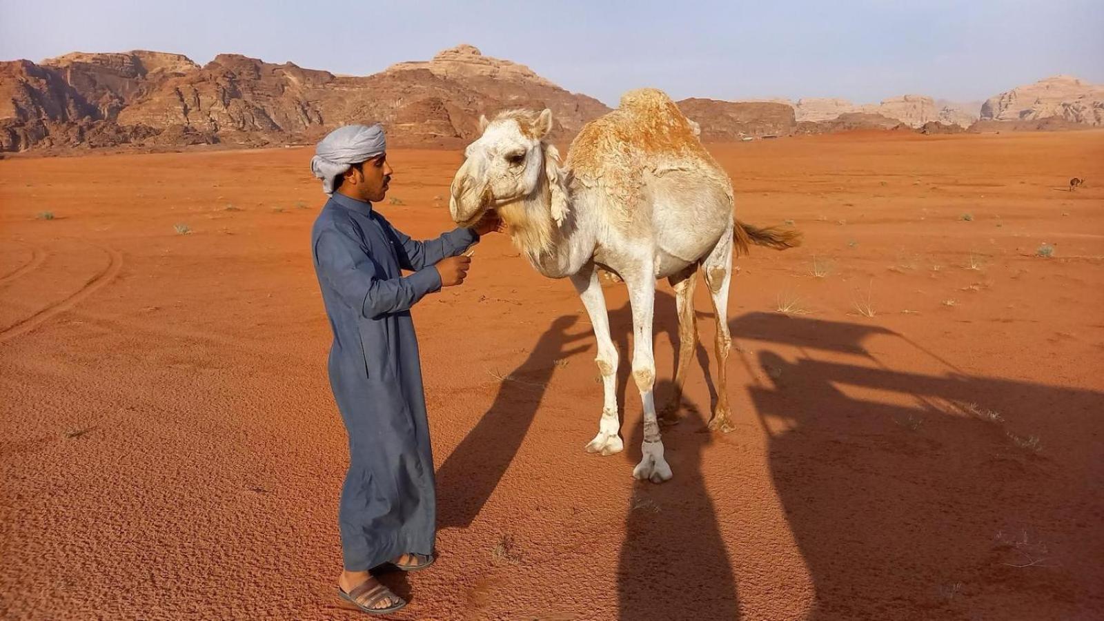Wadi Rum Natural Life Esterno foto